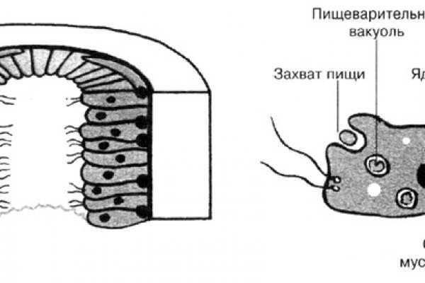 Кракен официальный